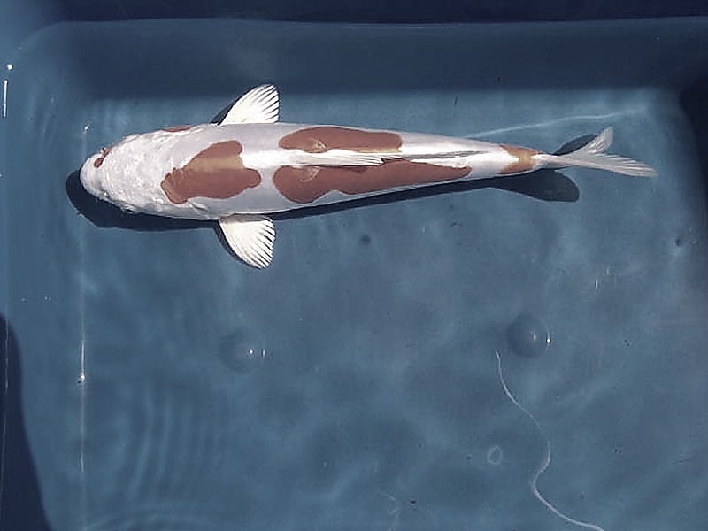 Killikus® Fotographie Killikus® Fotographie