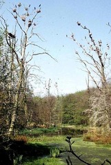 Killikus&reg; Fotographie