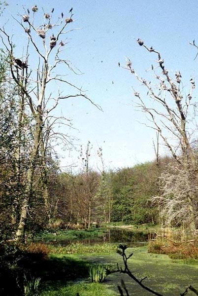 Killikus® Fotographie Killikus® Fotographie