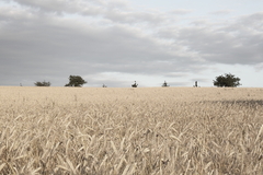 Killikus&reg; Fotographie