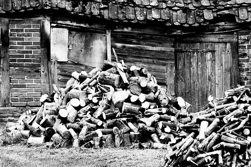 Killikus® Fotographie Killikus® Fotographie