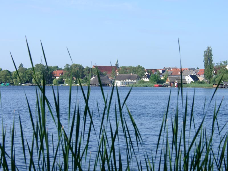 Killikus&reg; Fotographie