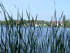 Killikus&reg; Fotographie