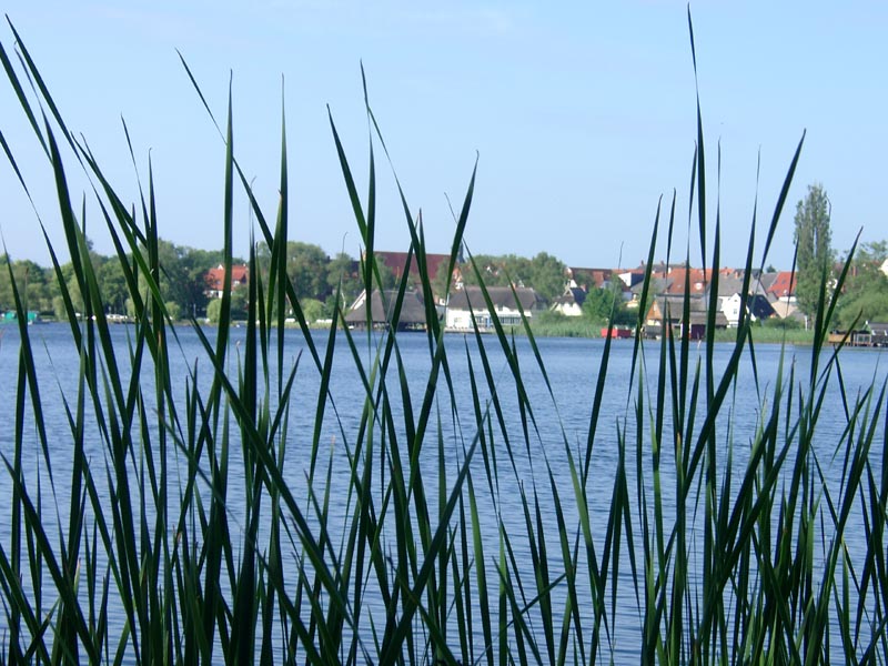 Killikus® Fotographie Killikus® Fotographie