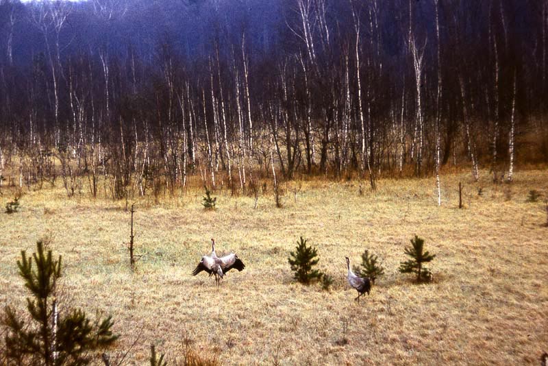 Killikus&reg; Fotographie