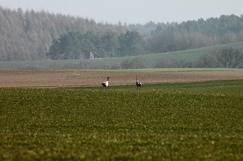 Killikus&reg; Fotographie