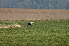 Killikus&reg; Fotographie