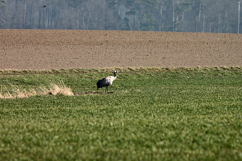 Killikus&reg; Fotographie