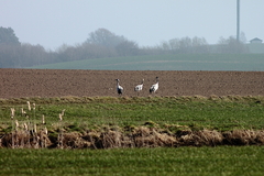 Killikus&reg; Fotographie