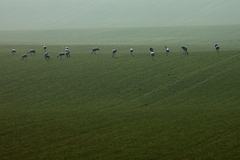 Killikus&reg; Fotographie