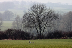 Killikus&reg; Fotographie