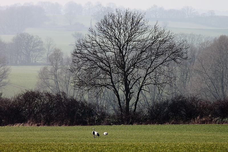 Killikus&reg; Fotographie