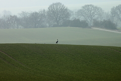 Killikus&reg; Fotographie