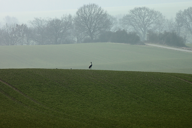 Killikus&reg; Fotographie