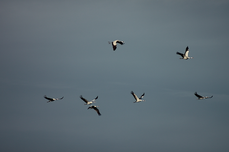 Killikus&reg; Fotographie