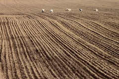 Killikus&reg; Fotographie