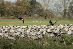 Killikus&reg; Fotographie