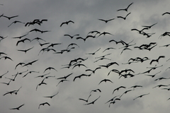 Killikus&reg; Fotographie