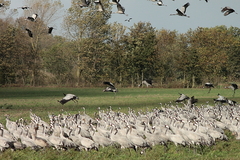 Killikus&reg; Fotographie