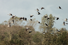 Killikus&reg; Fotographie