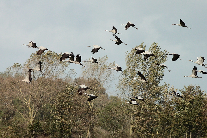 Killikus&reg; Fotographie