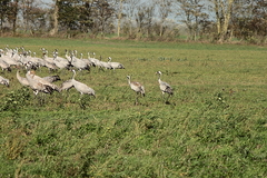 Killikus&reg; Fotographie