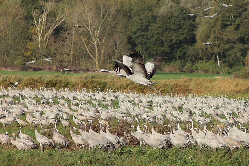 Killikus&reg; Fotographie