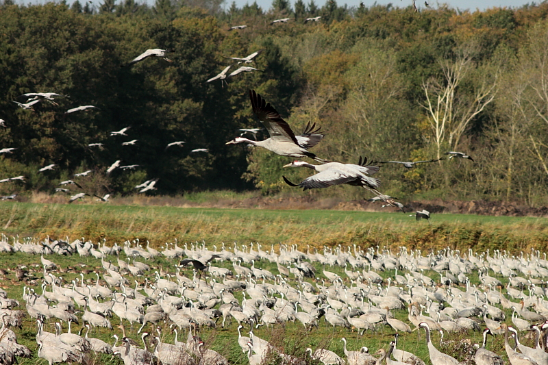 Killikus&reg; Fotographie