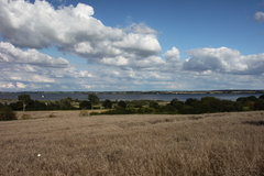 Killikus&reg; Fotographie