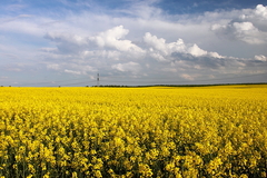 Killikus&reg; Fotographie