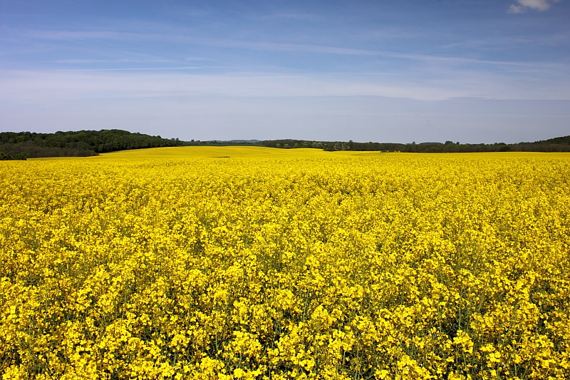 Killikus&reg; Fotographie