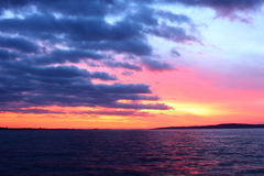 Killikus&reg; Fotographie