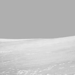 Killikus&reg; Fotographie