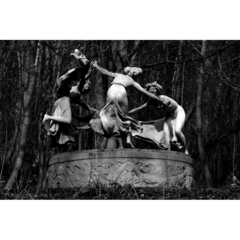 Killikus&reg; Fotographie