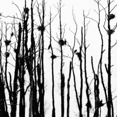 Killikus&reg; Fotographie