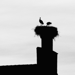 Killikus&reg; Fotographie