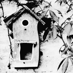 Killikus&reg; Fotographie