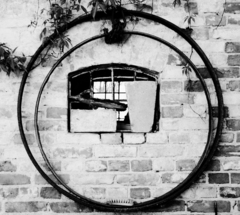 Killikus&reg; Fotographie