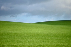 Killikus&reg; Fotographie