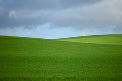 Killikus&reg; Fotographie