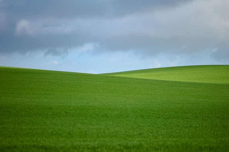 Killikus&reg; Fotographie