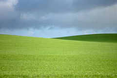 Killikus&reg; Fotographie