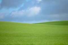 Killikus&reg; Fotographie