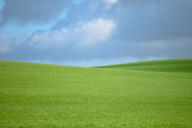 Killikus® Fotographie Killikus® Fotographie