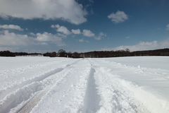 Killikus&reg; Fotographie