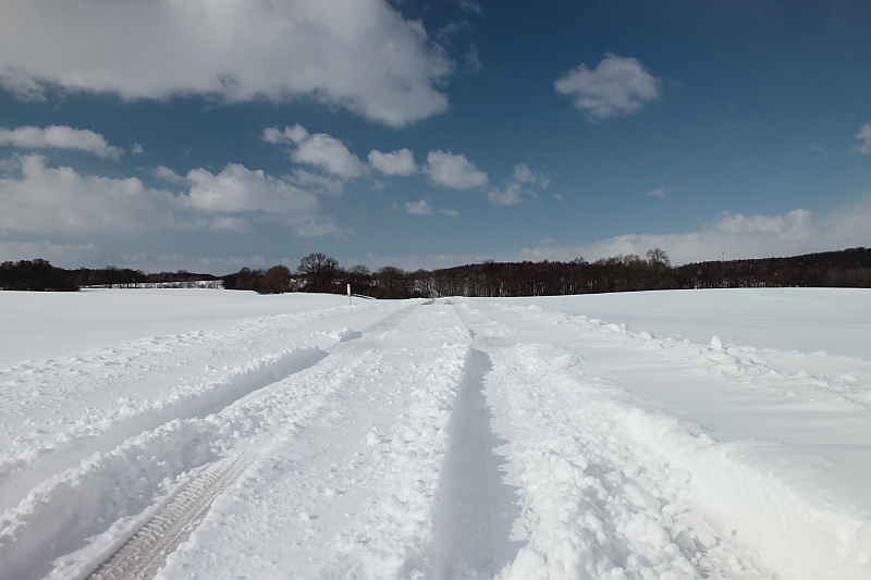 Killikus® Fotographie Killikus® Fotographie