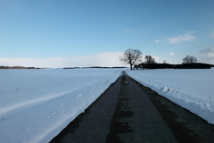 Killikus&reg; Fotographie