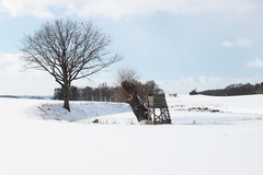 Killikus&reg; Fotographie