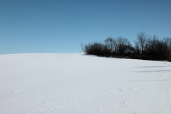 Killikus&reg; Fotographie