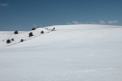 Killikus&reg; Fotographie